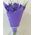 Irises purple - view 1