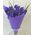 Irises purple - view 2