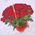Basket 101 roses - view 1