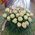 Basket of white roses - view 1