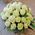 Basket of white roses - view 3