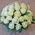 Basket of white roses - view 4