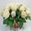 Basket of white roses with greens - view 1