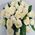 Basket of white roses with greens - view 3