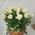 Basket of white roses with greens - view 5