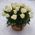 Basket of white roses with greens - view 6