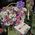 Basket of flowers for girls - view 1