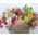 Beautiful bouquet of alstroemerias - view 2
