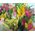 Beautiful bouquet of alstroemerias - view 3