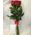 Red roses on a long leg - view 1