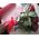 Red roses on a long leg - view 3