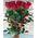 Red roses on a long leg - view 4