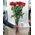 Red roses on a long leg - view 5