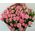 A small bouquet of pink roses - view 3