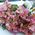 Pink alstroemerias in bouquet - view 3