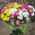 Chrysanthemum bouquet - view 1