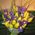 Yellow tulips with blue irises in a bouquet - view 3