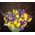 Yellow tulips with blue irises in a bouquet - view 4