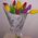 11 tulips - view 10