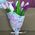 11 tulips - view 9