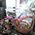 A large basket of sweets - view 1