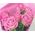 Small bouquet of 9 pink roses - view 4