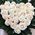 Flower arrangement in the form of a heart - view 2
