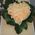 Flower arrangement in the form of a heart - view 4