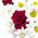 Flowers in the heart - view 3