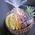 Fruit basket with delivery - view 1