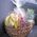 Fruit basket with delivery - view 3