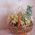 Fruit basket with delivery - view 4