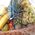 Fruit gift basket - view 2