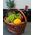 Fruit and wine in the basket - view 2