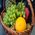 Fruit and wine in the basket - view 3
