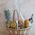 Fruit and wine in the basket - view 5