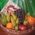 Fruits in a gift basket - view 1