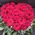 Composition of flowers heart - view 1