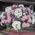 Basket of flowers for girls - view 3