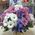 Basket of flowers for girls - view 5