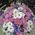 Basket of flowers for girls - view 6