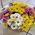 Basket of multi-colored chrysanthemums - view 1