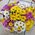 Basket of multi-colored chrysanthemums - view 2