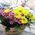 Basket of multi-colored chrysanthemums - view 6
