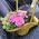 Basket of fresh flowers and fruits - view 4