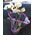 Phalaenopsis orchid in a pot - view 9