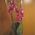 Pink orchid in a pot - view 6