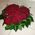 Heart of red roses - view 3