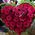 Heart of red roses - view 5