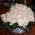 Heart from white roses - view 5